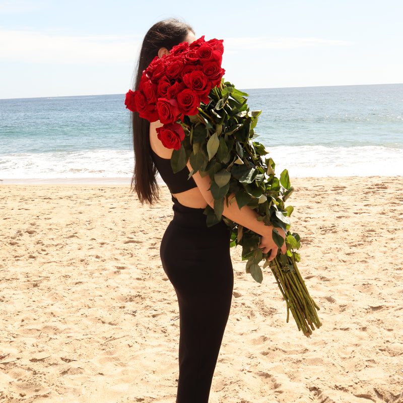 Giant Roses | Long Stem Premium Ecuadorian Roses | 120 Cms